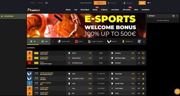 Exploring FreshBet Sportsbook: Is It Top Choice for the UK Punters?